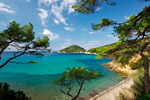 vacanze mare toscana isola d'elba